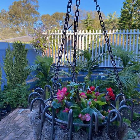 Self Catering Luke Drive Onrus Apartment Hermanus Bagian luar foto